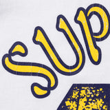 SUPREME PANELED RAGLAN L/S TOP 'WHITE BLUE' (FW26)